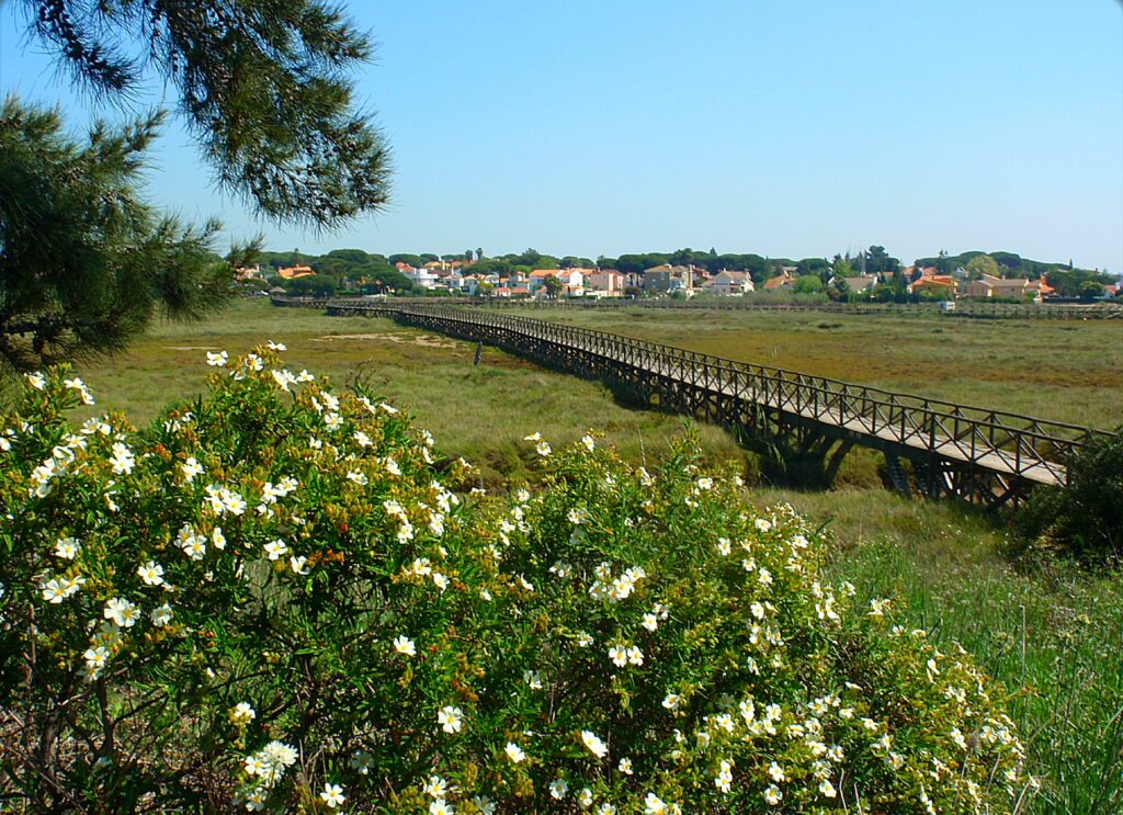 panoramic view of Bellavista