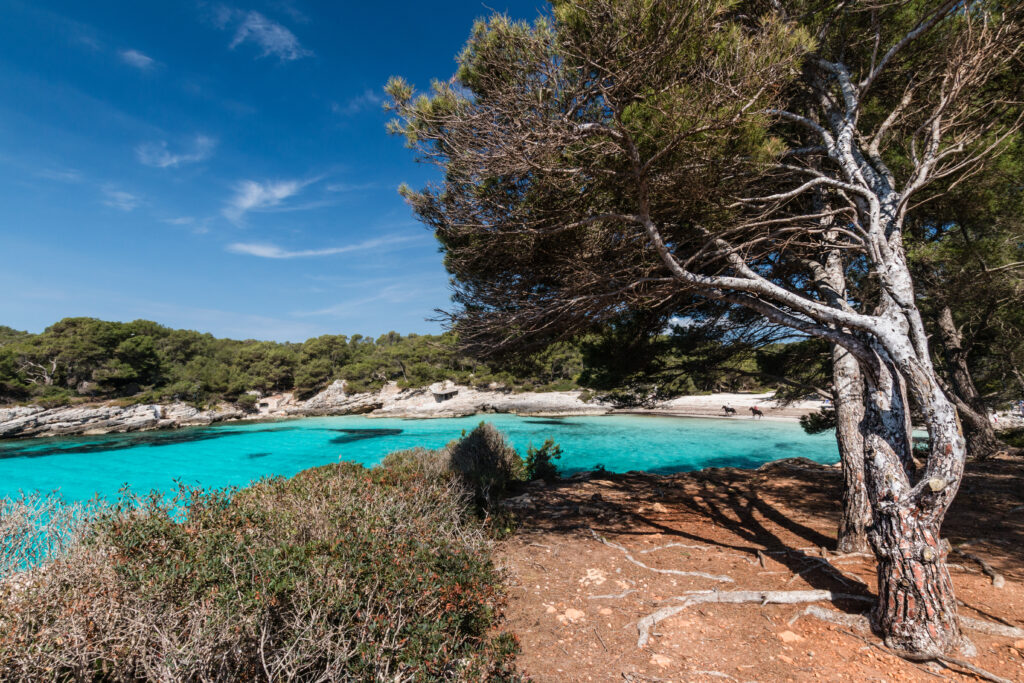 Cala Turqueta in menorca