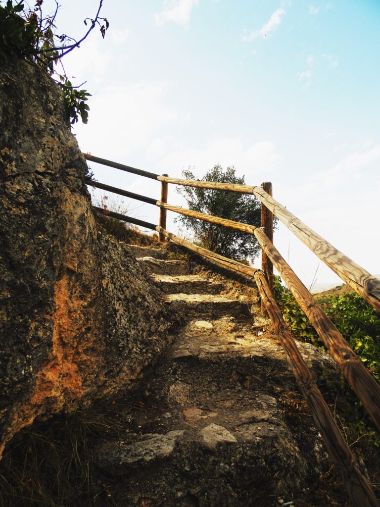 camino al charco pataco