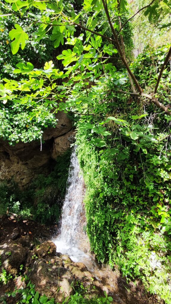 cascada en el charco pataco