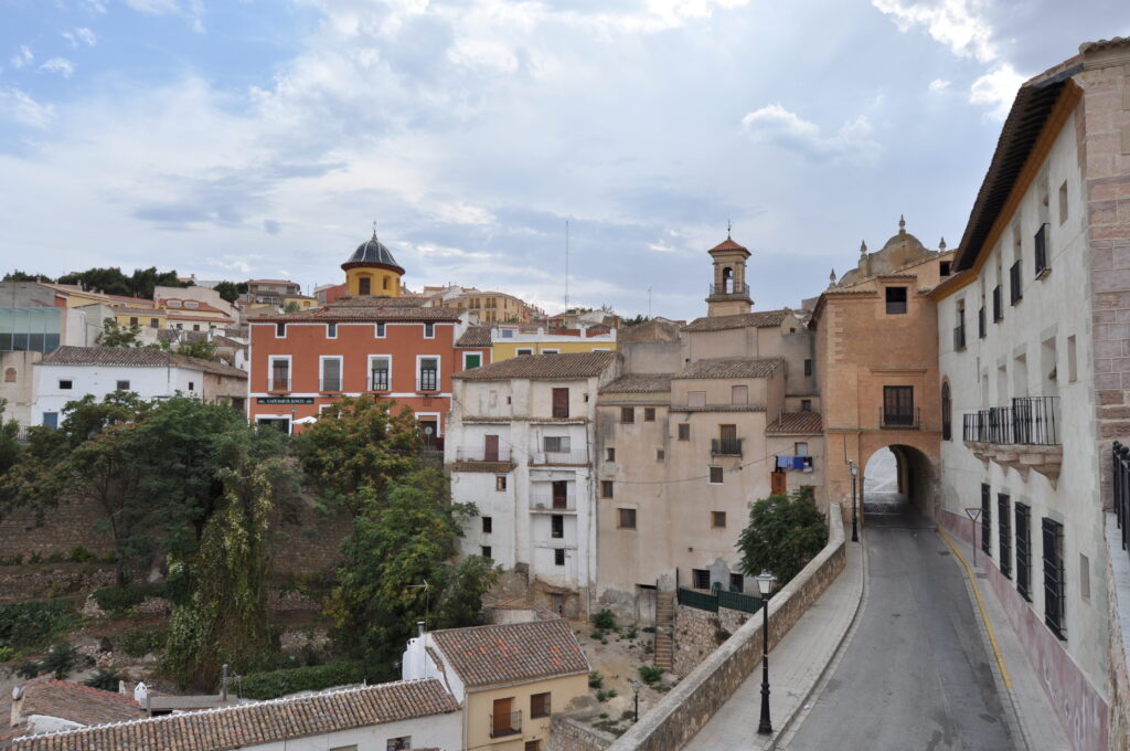 centro de chinchilla