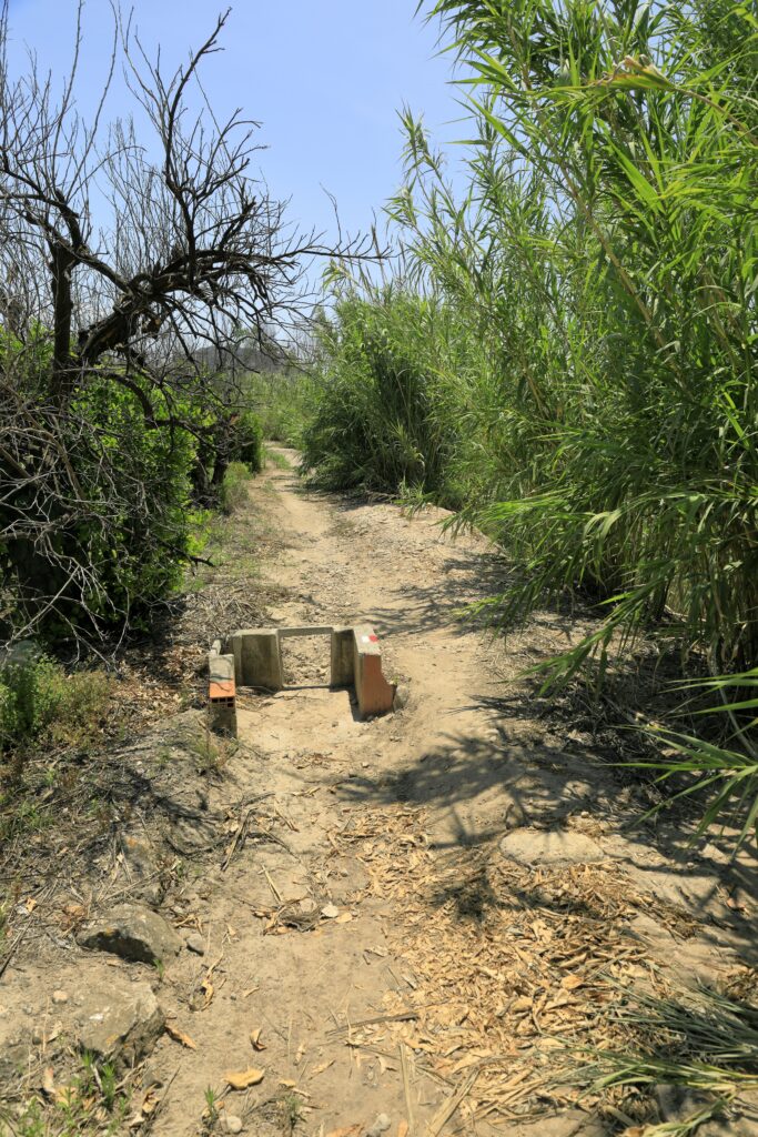 tramo del camino de levante