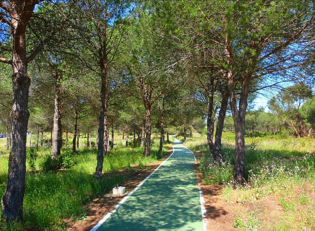 cycle path in Aljaraque