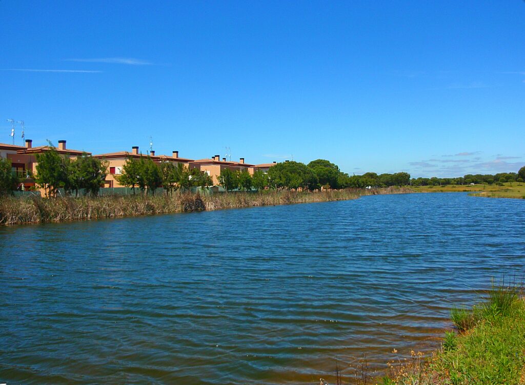 the monacilla in the aljaraque