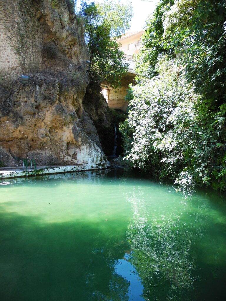 Charco de Las Canales en letur