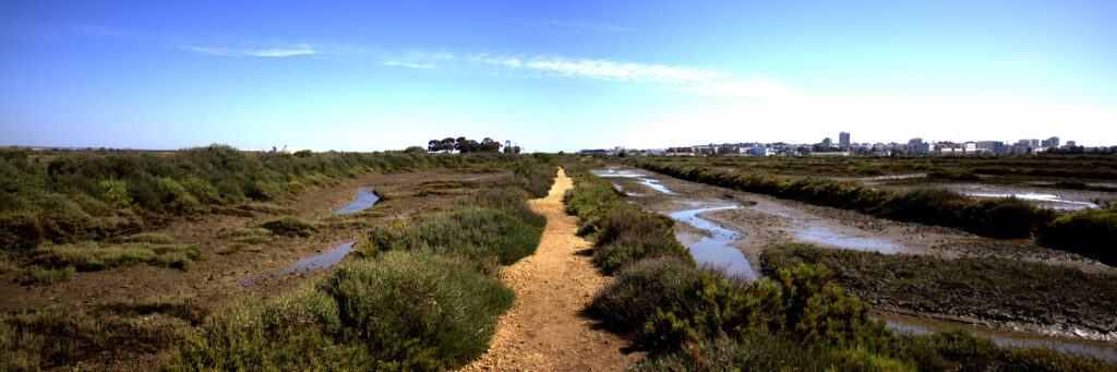 path in the Odiel marshes