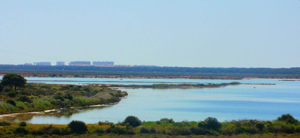 Odiel marshes