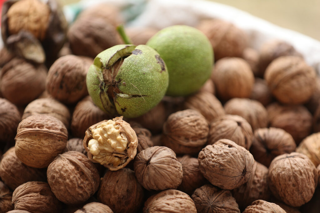 feria de la nuez nerpio