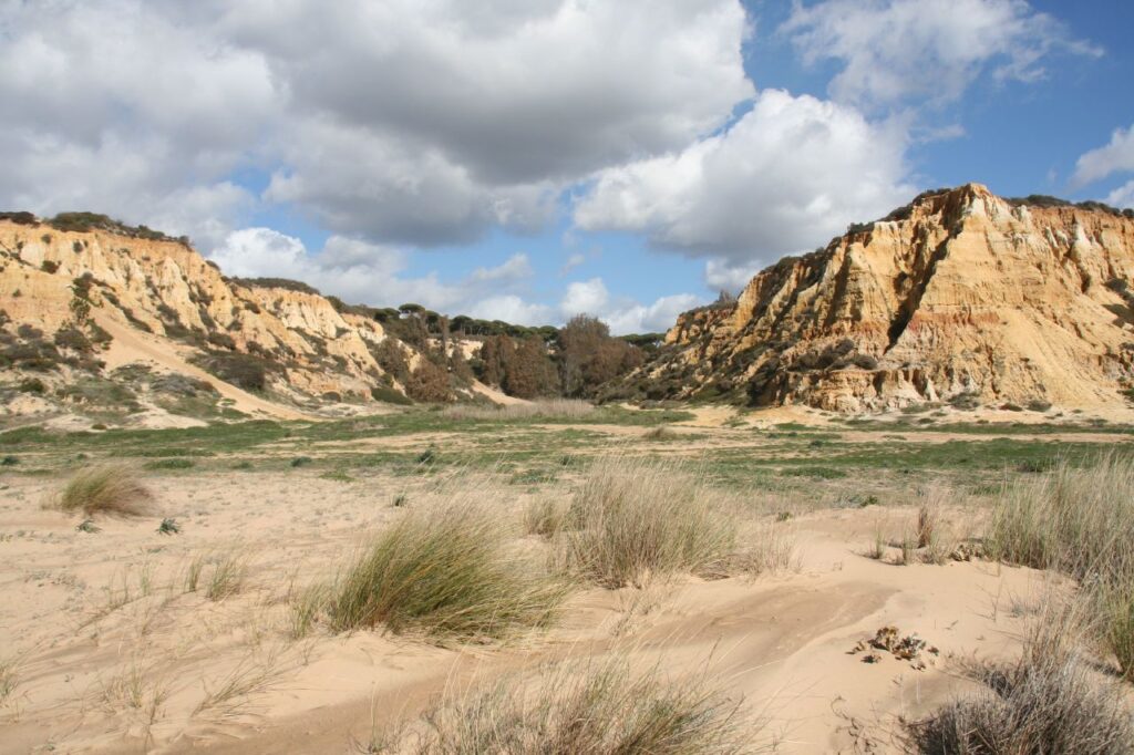 cliffs of Mazagon