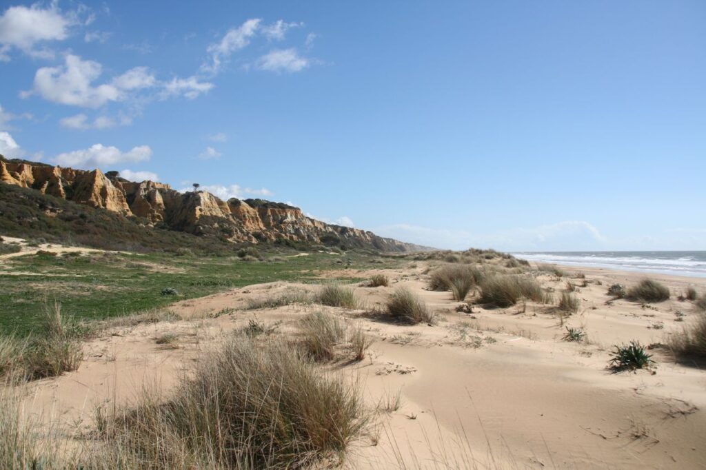 dunes in Mazagón
