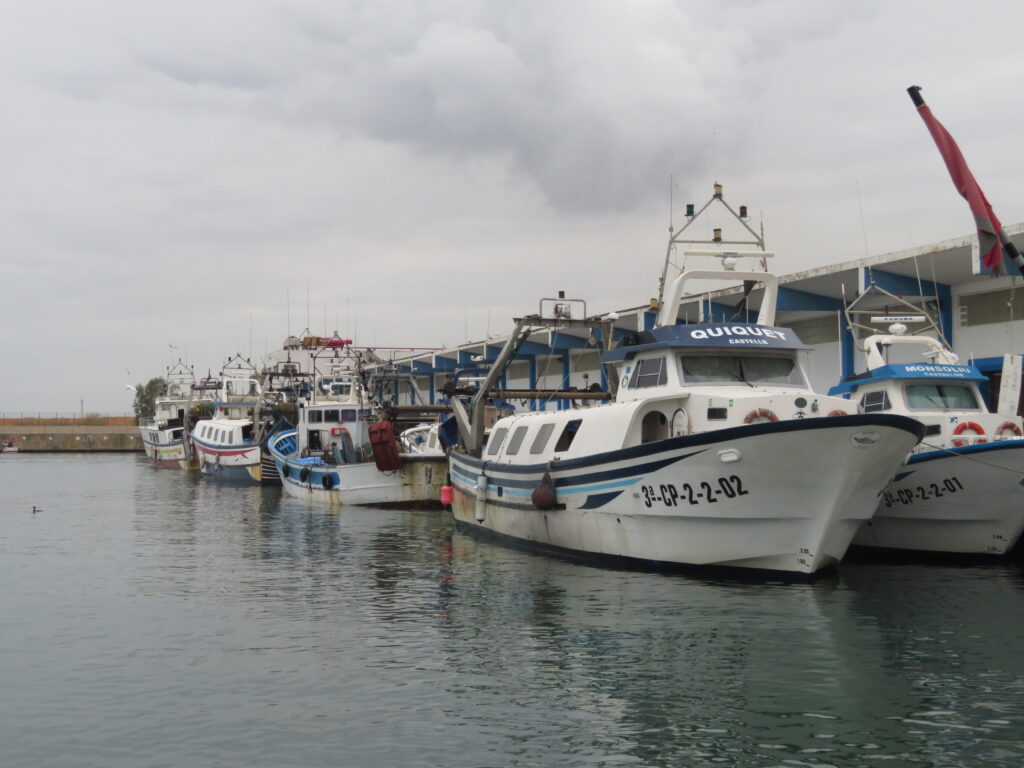 ships in the port of Grao de Castellón