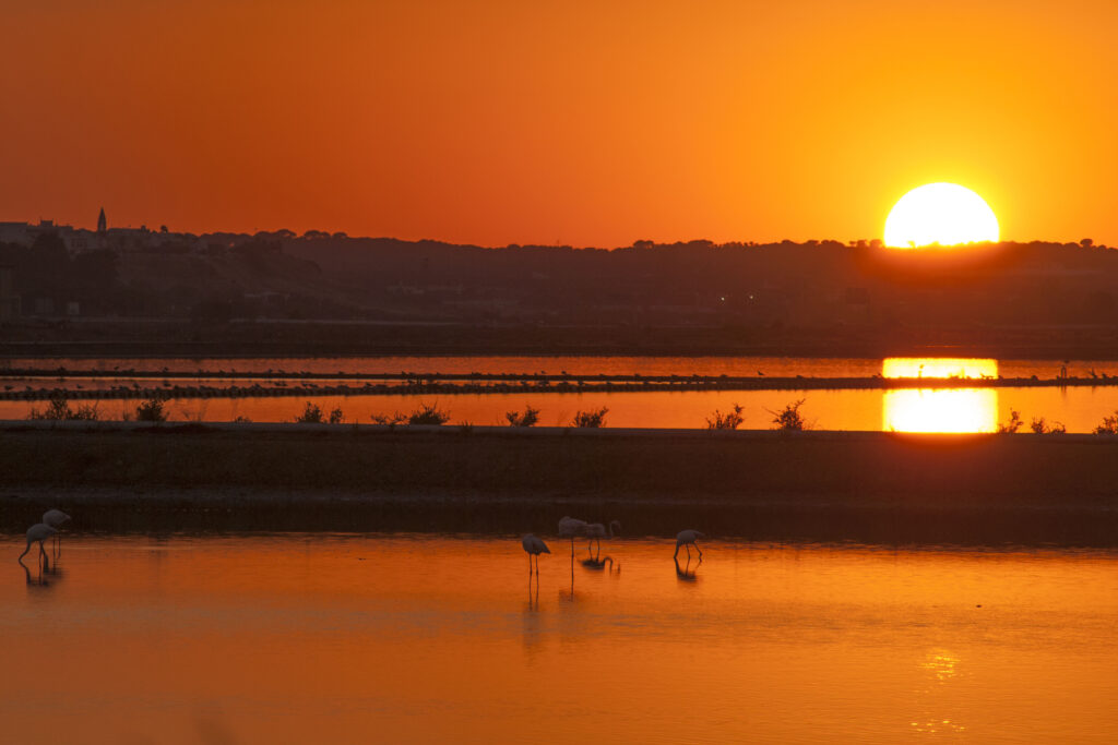 sunset over the Odiel marshes
