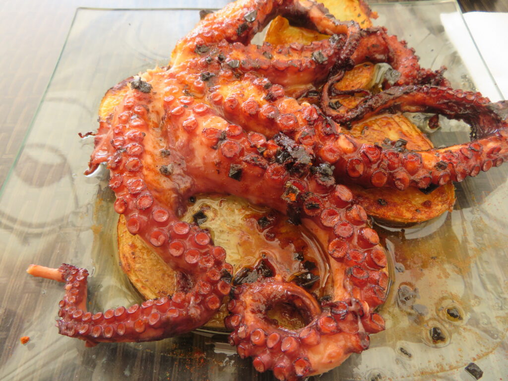 octopus in Castellón