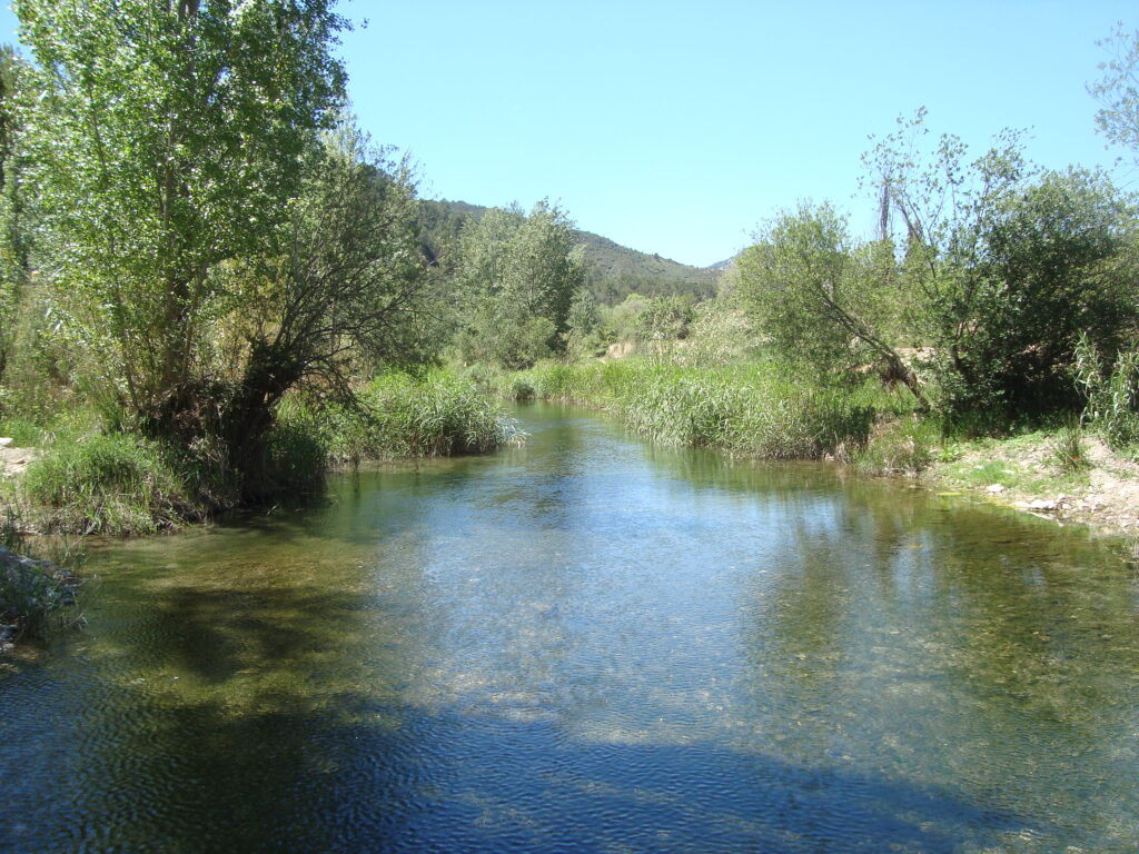 Mijares River sarrion