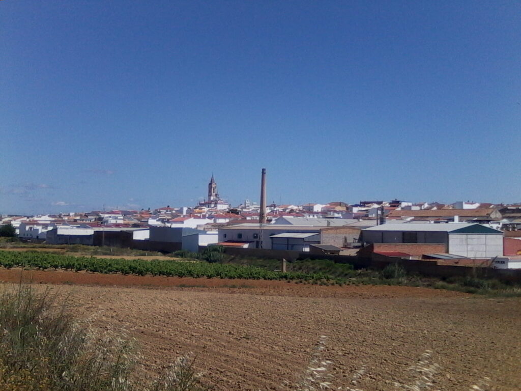 vineyards in Rociana del Condado