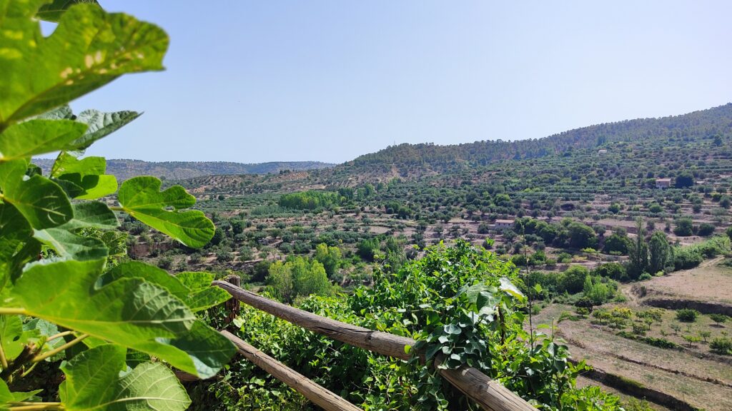 vistas de la sierra del segura