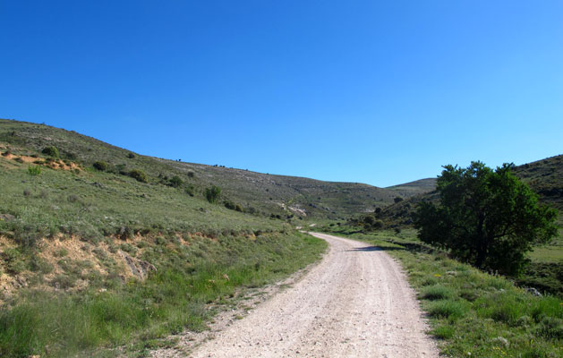 camino en sel cerro de san blas