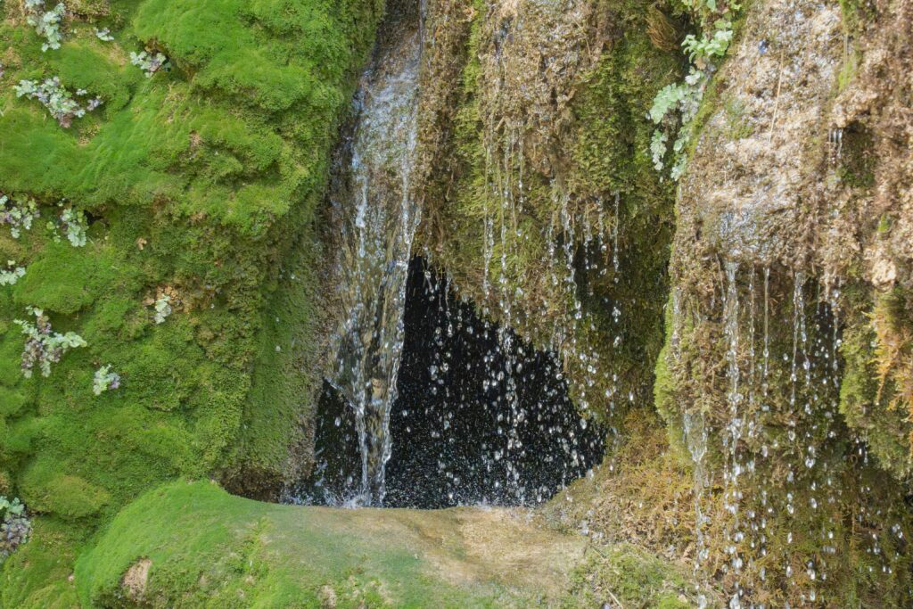 Bogarra springs route