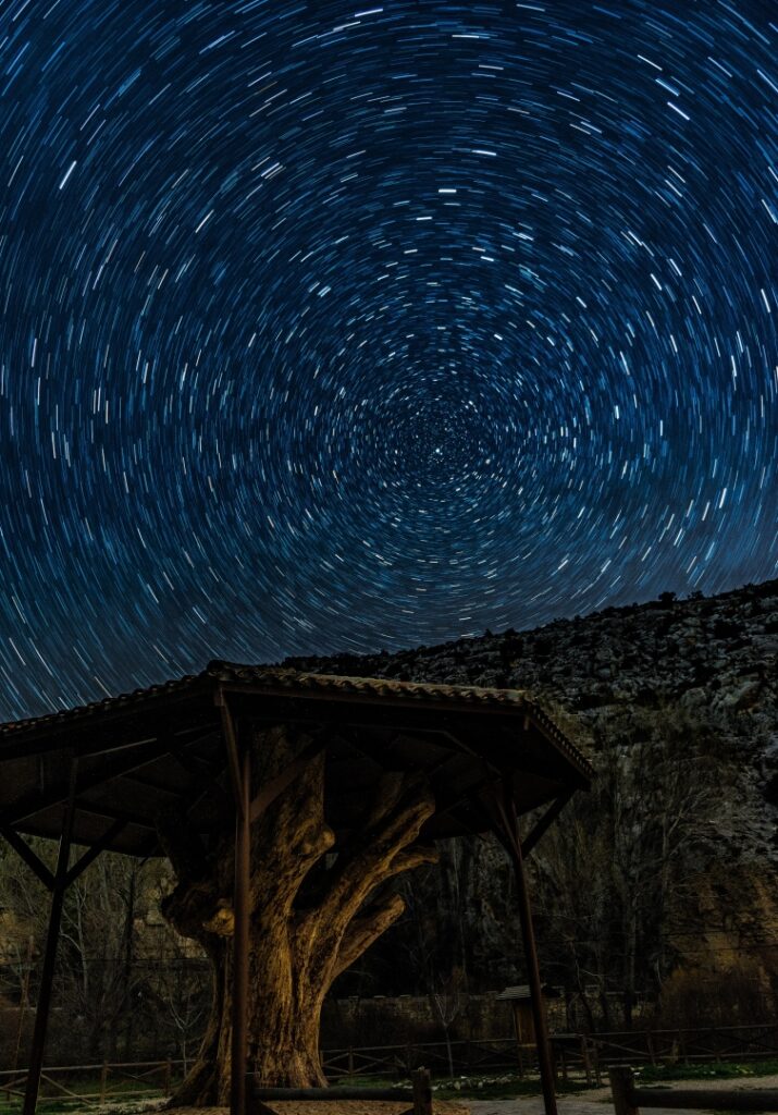 Starlight en el planton del covacho