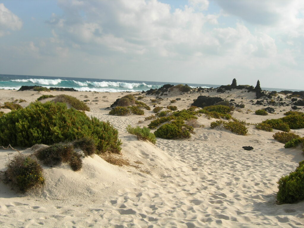 nudismo en caleta del mojon blanco