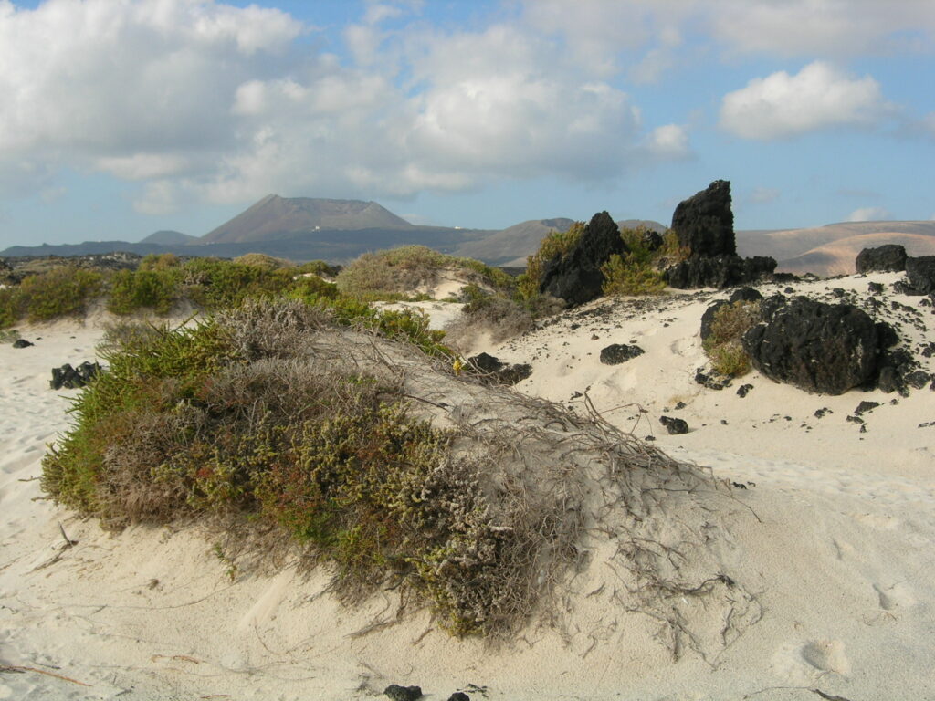 vistas desde la caleta del mojon blanco