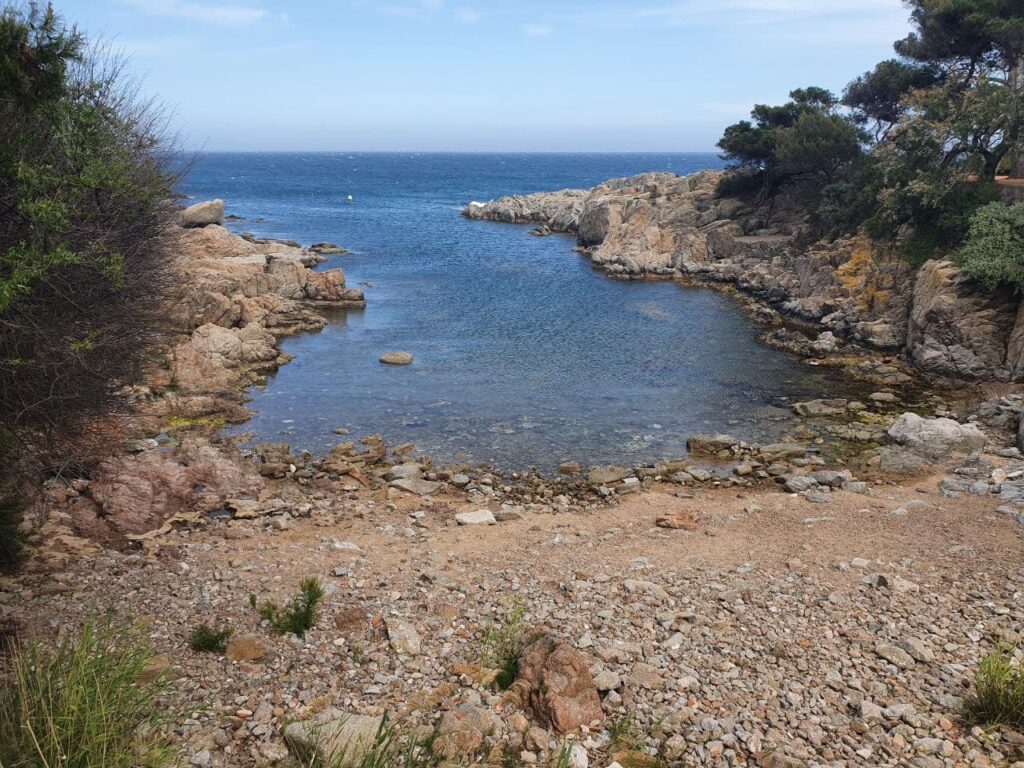 cala pedrosa