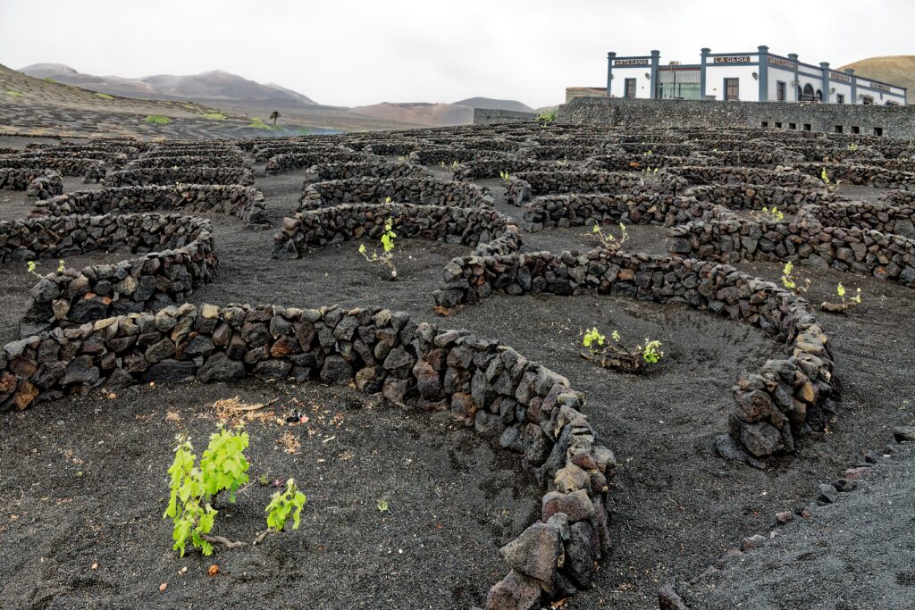 la geria lanzarote