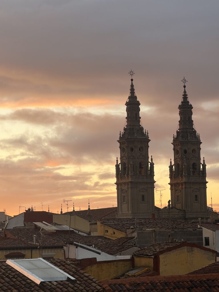 torres gemelas de la catedral de logroño