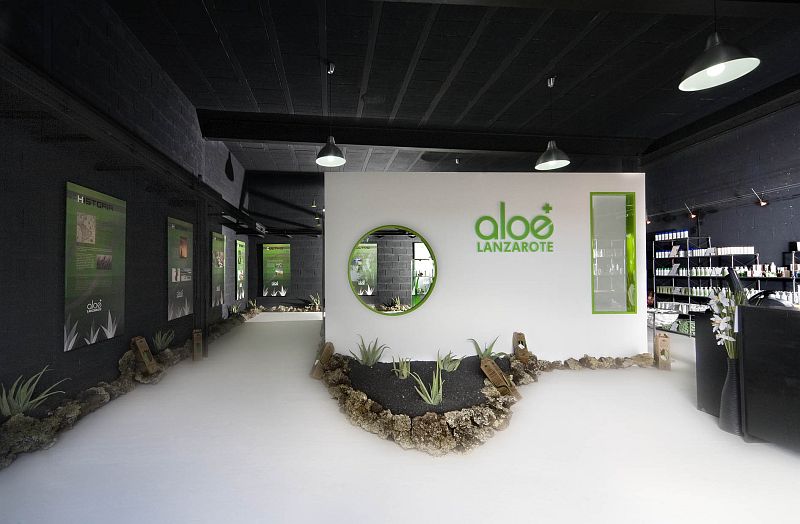 museo aloe vera lanzarote