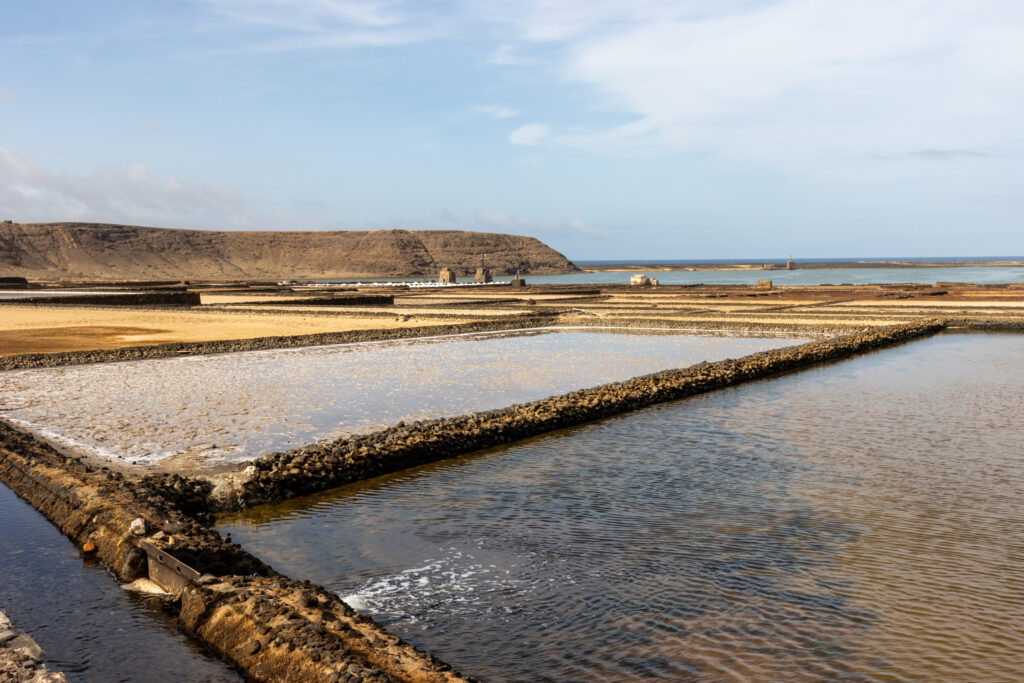 salinas de janubio lanzarote