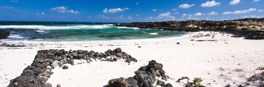 corralitos en la caleta del mohon blanco