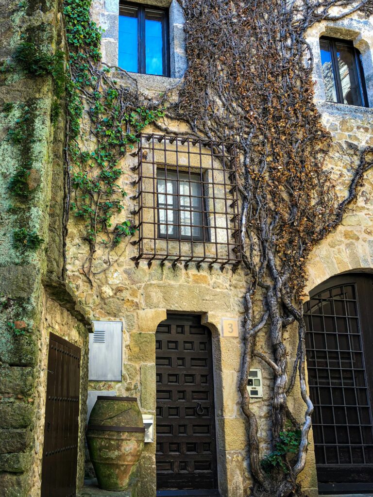 edificio con vegetacion en pals