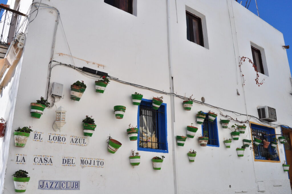 el loro azul mojacar